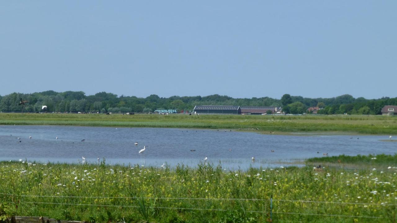 Vitamin Sea Heemskerk Exterior foto